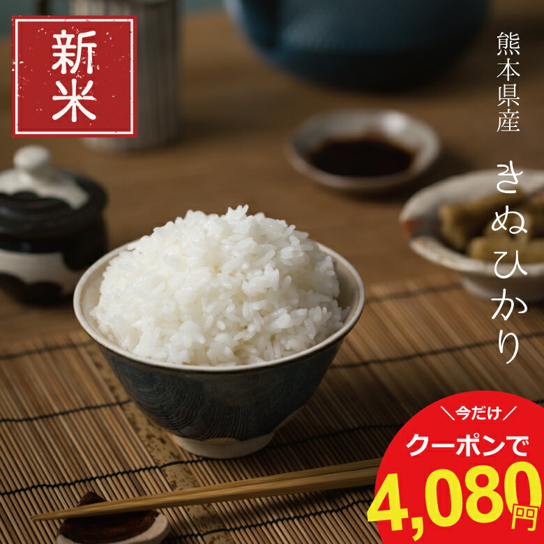 【クーポンで300円OFF】新米 米 無洗米 10kg 送料無料 キヌヒカリ 5kg×2 熊本県産 令和5年産 きぬひかり 米 10kg 米10キロ 無洗米 送料無料 10kg お米 10kg 送料無料 備蓄米 非常用