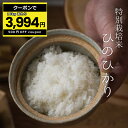 米 白米 玄米 30kg 送料無料 ヒノヒカリ 特別栽培米 農薬5割減 化学肥料5割減 熊本県産 令和5年産 米30キロ 送料無料 玄米 30kg 送料無料 お米 30kg こめたつ 備蓄米 非常用 米30キロ ひのひかり