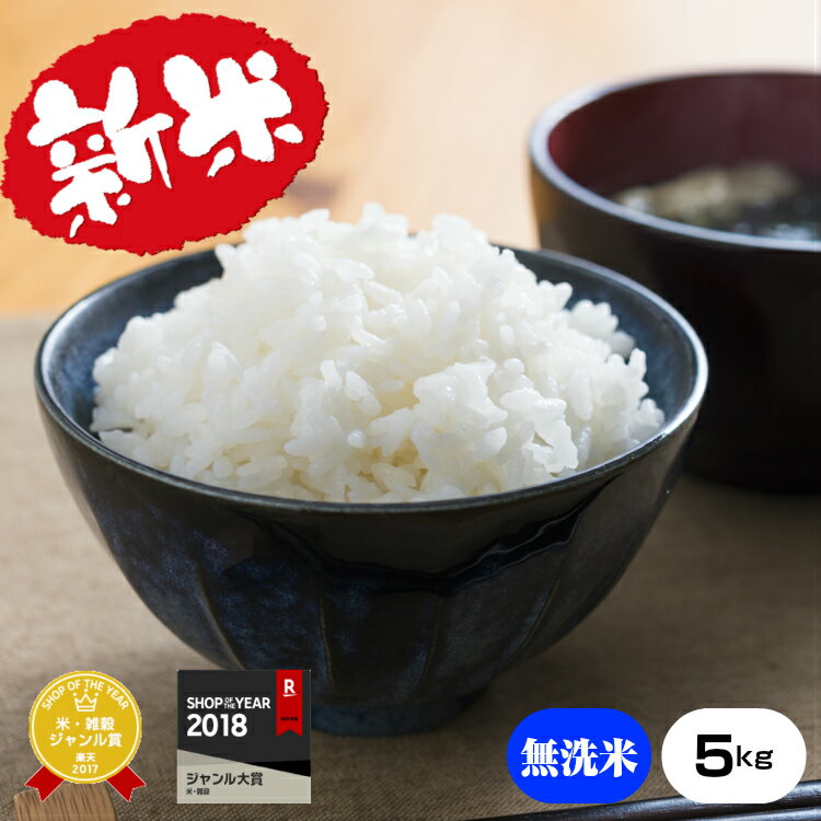 新米【令和元年産】★無洗米★熊本県産キヌヒカリ5kg【米 5kg 送料無料】【お米 5kg 送料無料】米/お米/コメ【きぬひかり】【熊本県産】30年