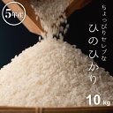 米 白米 10kg 送料無料 ヒノヒカリ 国