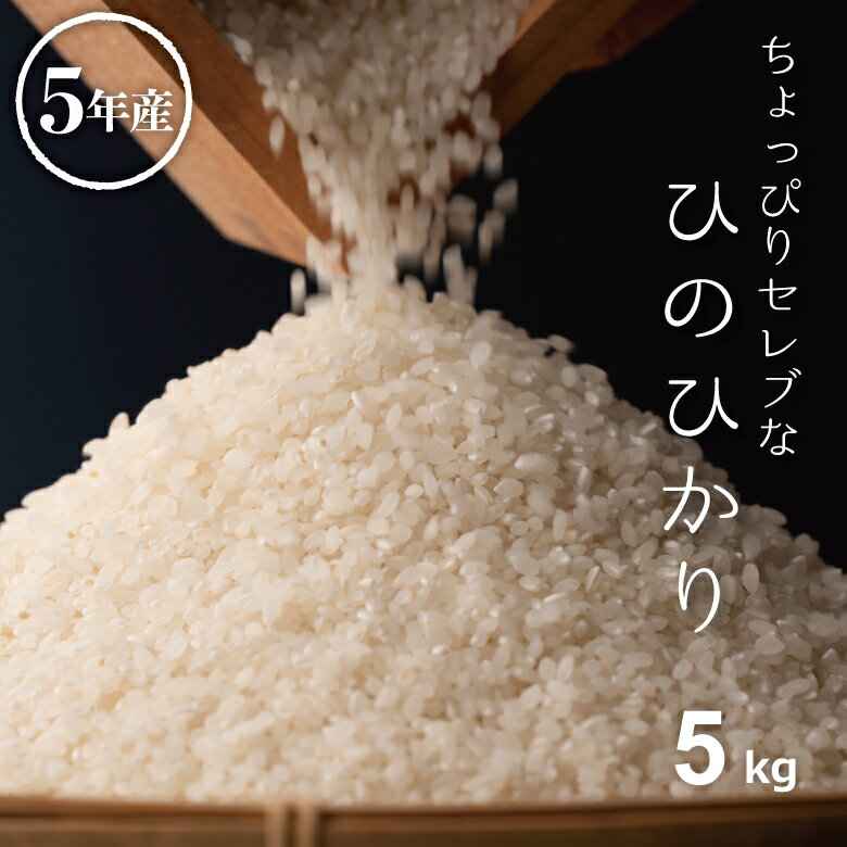 米 白米 5kg 送料無料 ヒノヒカリ 国