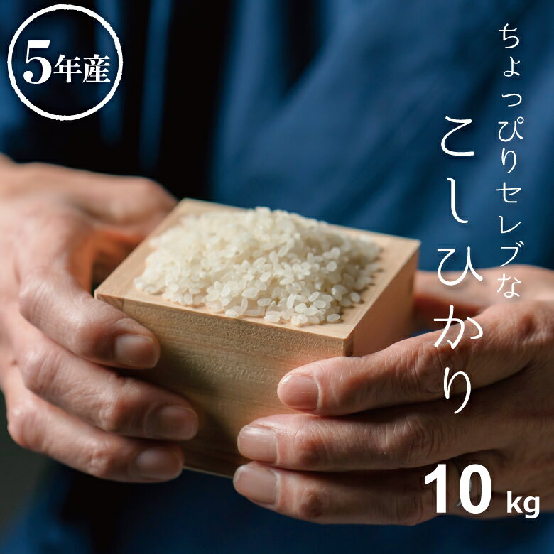 米 白米 10kg 送料無料 コシヒカリ 国