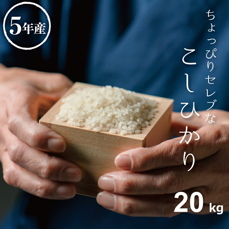 米 白米 玄米 20kg 送料無料 コシヒカリ 国内産 令和5年産 米20kg 送料無料 お米 20kg 送料無料 コメ ちょっぴりセレブなコシヒカリ こしひかり 米 20kg 送料無料 備蓄米 非常用