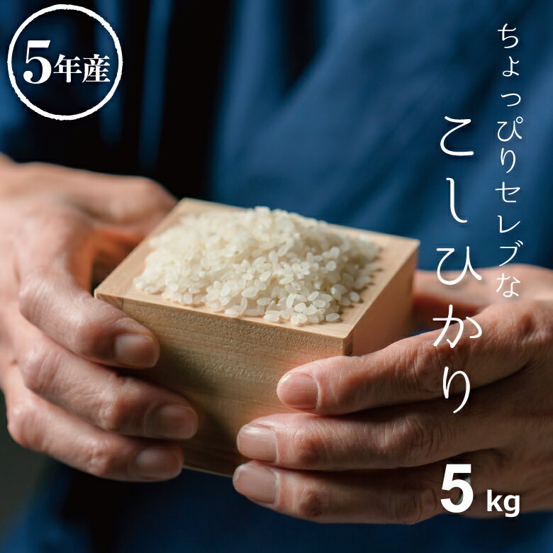 米 5kg 送料無料 コシヒカリ 国内産 令和5年産 ちょっぴりセレブなコシヒカリ こしひかり 米 5kg 米5キロ 送料無料 5kg お米 5kg 送料無料 備蓄米 非常用