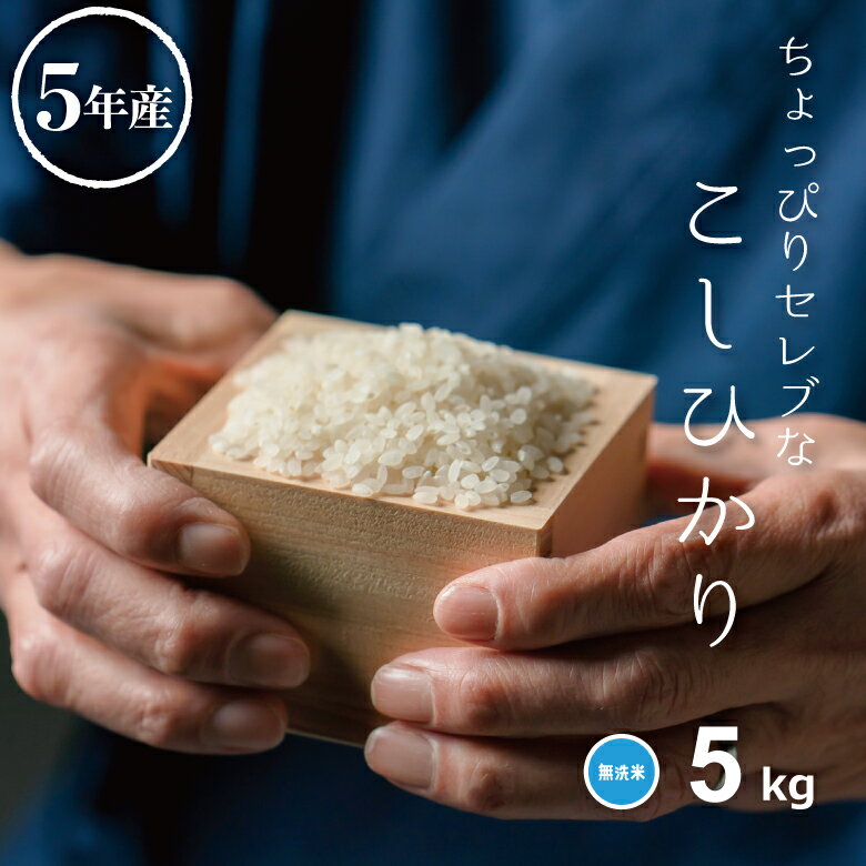 米 無洗米 5kg 送料無料 コシヒカリ 国内産 令和5年産 ちょっぴりセレブなコシヒカリ こしひかり 米 5kg 米5キロ 無洗米 送料無料 5kg お米 5kg 送料無料 備蓄米 非常用