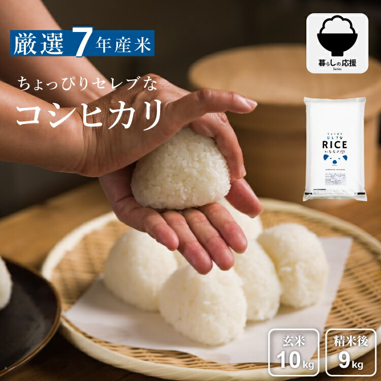 米 10kg 送料無料 コシヒカリ 国内産 令和7年産 ちょっぴりセレブシリーズ こしひかり 米 10kg 送料無料 白米 無洗米 お米 10kg 送料無料 米...