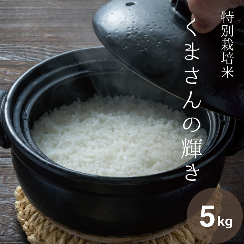 米 白米 5kg 送料無料 くまさんの輝き 特別栽培米 熊本県産 農薬5割減 化学肥料5割減 令和4年産 米 5kg 送料無料 白米 お米 5kg 送料無料 米5kg 送料無料 こめたつ 備蓄米 非常用産