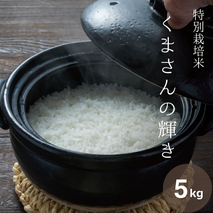 米 白米 5kg 送料無料 くまさんの輝き 特別栽培米 熊本県産 農薬5割減 化学肥...