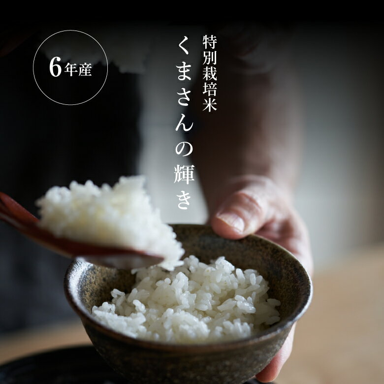 米 5kg 送料無料　令和6年産 米 白米 5kg 送料無料 くまさんの輝き 特別栽培米 熊本県産 農薬5割減 化学肥料5割減 令和6年産 米 5kg 送料無料 白米 お米 5kg 送料無料 米5kg 送料無料 こめたつ
