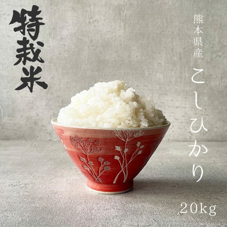 新米 3年産 特別栽培米 熊本県産 コシヒカリ 玄米20kgまたは精米18kg