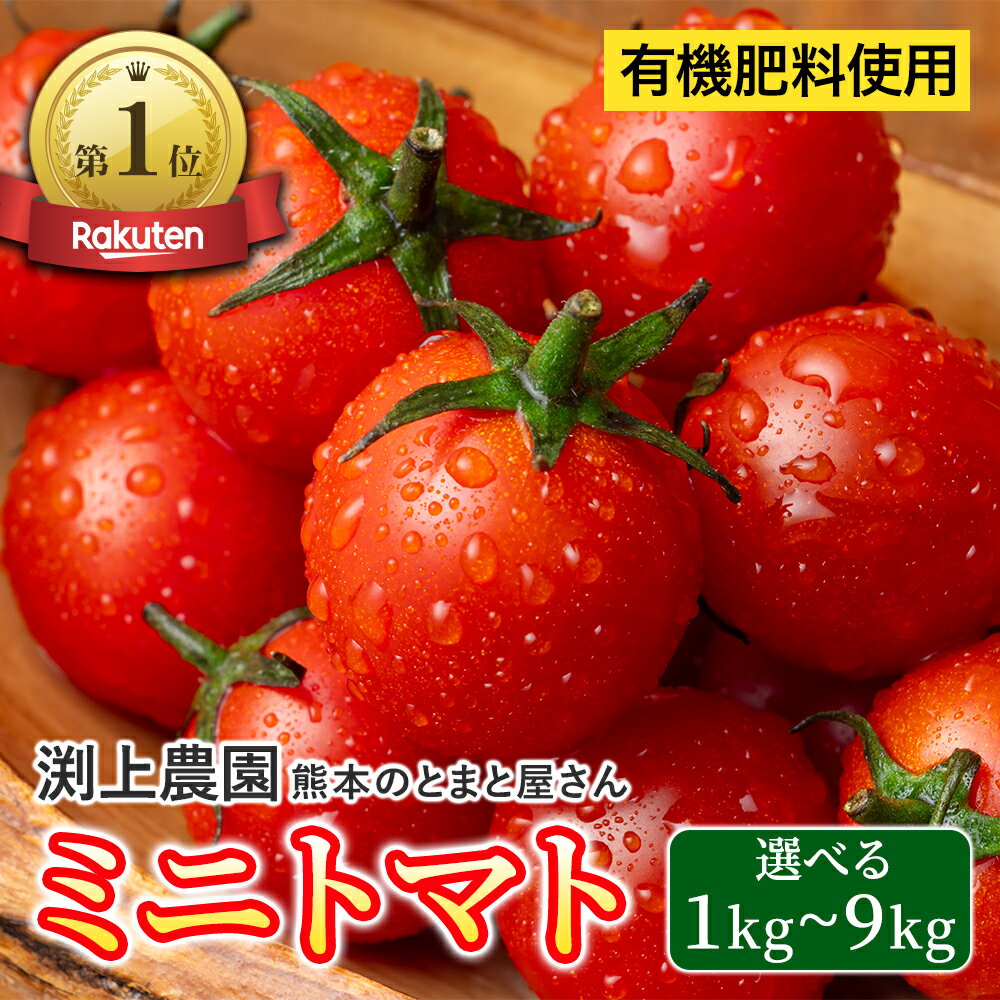 【送料無料】 ミニトマト トマト プチトマト 小鈴 混みサイズ 熊本 渕上農園 常温便 リコピン ビタミン スープ パスタ マリネ ダイエット 美容 大量消費 プレゼント 野菜ギフト 美味しい 人気 1kg 1.5kg 2kg 3kg 6kg