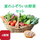 \新商品!/ 短期販売 最短当日発送 野菜セット 野菜宅配 お試し 減農薬 4種類 クール便 農家直送 不揃い野菜 お中元 熨斗 お買い得 美味しい レシピ 健康 夏野菜 冷凍 一人暮らし 安い 宅配 渕上農園