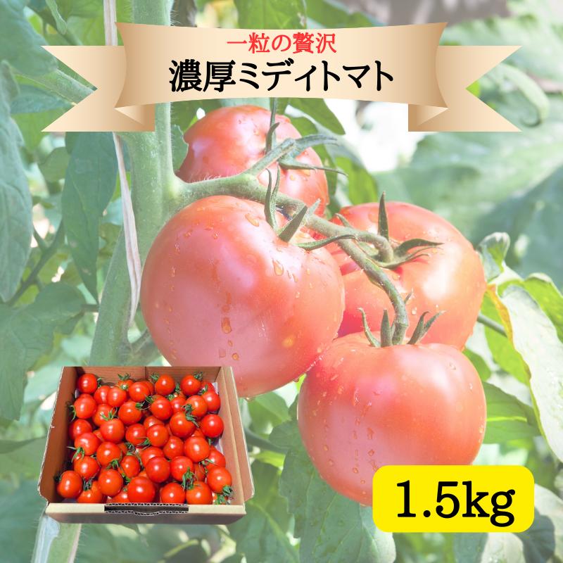 30・31日限定！ ＼1.5kg 半額SALE／ 送料無料 ミディトマト トマト 混みサイズ 完熟 リコピン ビタミン スープ パスタ トマトジュース 美容 ダイエット 冷凍 レシピ 大量消費 プレゼント 美味しい 甘い 産地直送 熊本 渕上農園のサムネイル