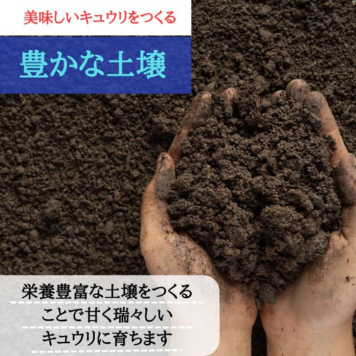 �ں�û����ȯ���� ����̵�� ���ꥹ�ޥ� ������ ����ľ�� �������� ���奦�� ���� �Ť� ��̣���� �ݤ� ī��� ������ ���̾��� �Ĥ���� ���Ҥ� �ԥ��륹 ����� �쥷�� ������ �����Ҥ� 3Kg 5kg