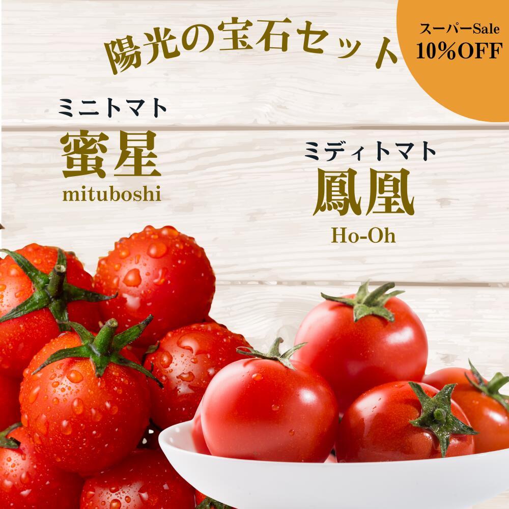 【スーパーSale★10％OFF】 ＼1月発送／プレミアセット ミニトマト ミディトマト トマト トマトジュース..