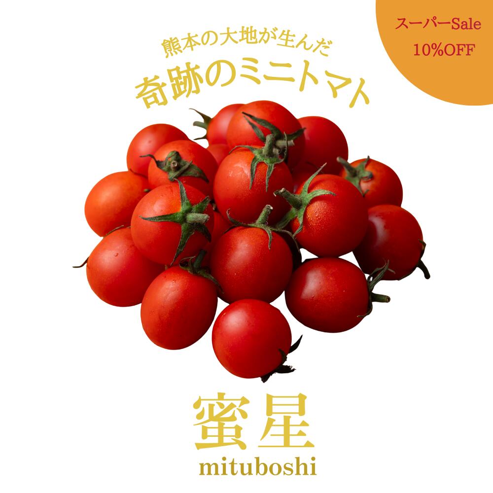 【スーパーSale★10％OFF】 ＼楽天市場で先行販売開始／ 新商品 送料無料 蜜星 ミニトマト トマト フルーツトマト風 1.5Kg クリスマス お歳暮 甘い 美味しい 酸味 コク トマトジュース レシピ マリネ パスタ 野菜ギフト プレゼント ご褒美 農家直送 渕上農園 熊本