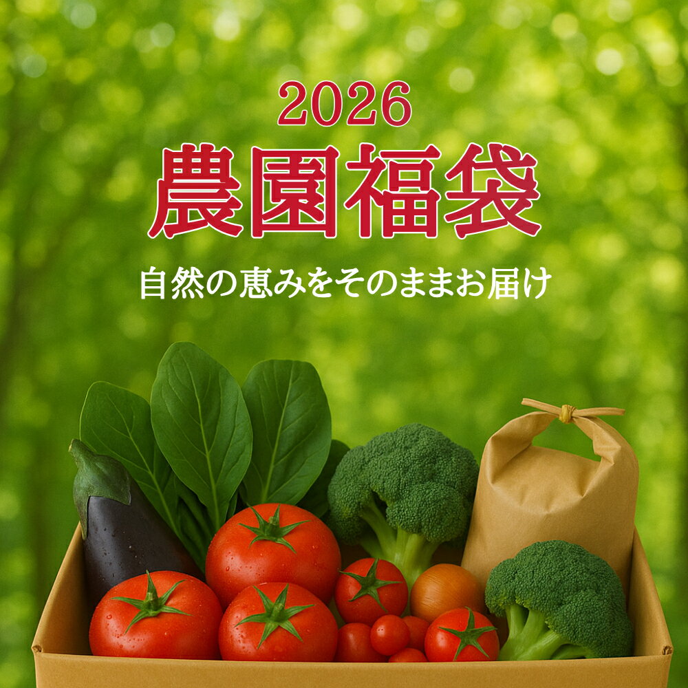【30セット限定】 福箱 福袋 送料無料 ミニトマト ミディトマト トマトジュース お米 産地直送 新鮮 野菜 野菜セット 美味しい 熊本 お正月 プレゼント 野菜ギフト お得 安い 渕上農園