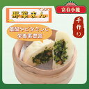 【 手作り 】富春 野菜まん 加熱済み 電子レンジOK 青梗菜 まんじゅう 野菜饅頭 中華まん グルメ 冷凍発送 富春小籠 チンゲンサイ ベジタリアン 美味しい 中華まんじゅう 冷凍中華 中華総菜 間食 レンジでチン 中華 夜食 点心セット お取り寄せ 中華惣菜 中華饅頭