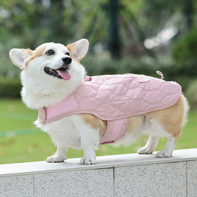 犬 犬服 ジャケット ドッグウェア 防寒 あったか 犬の服 ウェア ハイネック ジャンパー コート 中綿入り ペットウェア ペット用品 小型犬 中型犬 大型犬 冬服 秋冬 おしゃれ 男の子 女の子 アウター 散歩 お出かけ アウトドア