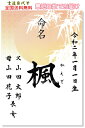 【命名書筆耕歴29年！書家 代筆 】営業日正午までのご注文で即日発送可♪【送料無料】男女兼用ラミネート和風命名書☆和柄命名書シンプル☆おしゃれ【ネコポス速達便送料無料】「命名書 A4ラミネート竹日七宝」【手書き・筆文字】【出産祝い命名用紙】代筆 その1