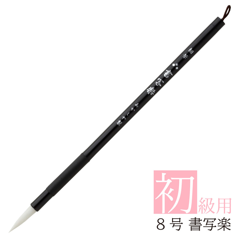  ƻɮ 8 ̳ ASP-51 ƻɮ ɮ ɮ ɮ ɮ 鿴    ̶   ¤ 㤤ؤ ؽ Ť ɮ  8  üݥꥨƥ ¤ ˯ ع   Ⱦ̾ 㤤ؤ  ñ