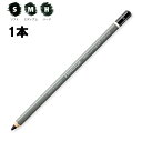 ステッドラー 鉛筆 マルス ルモグラフ チャコール鉛筆 100C 1本 ばら売り チャコール芯 木炭芯 文具 文房具 六角 6角 木炭 デッサン 美術 お絵描き H M S ハード ミディアム ソフト