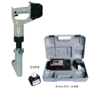 ��EXEN����������ۥ����ɥ쥹������CVPS�ʥ����ɥ쥹�Х��֥졼�������꡼����