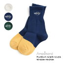 1,096円以上で送料無料!50%OFF!【Ampersand アンパサンド バイカラーソックスA キッズ 靴下 男の子 10-12cm〜19-21cm】[am...