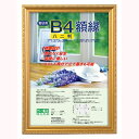 ナカバヤシ 樹脂製賞状額 金ケシ 八ニ判 フ-KWP-37 【賞状 額縁 フレーム 表彰状 感謝状 卒業証書 証書】 #300#【CHI】