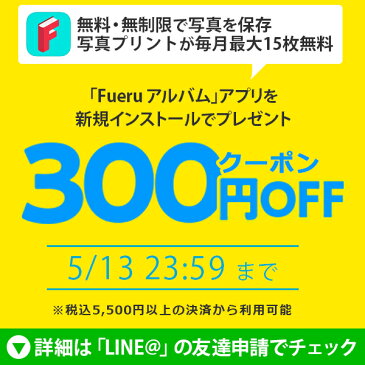 ＼ポイント5倍／【アウトレット/数量限定特価】ナカバヤシ デジカメ印画紙 強光沢2L 50枚 JPSK-2L-50G