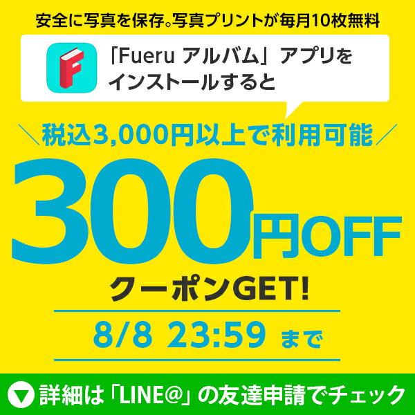 ナカバヤシ インクジェット用紙 マット紙SG 薄手 A4 100枚 JPSG-A4S-100 2