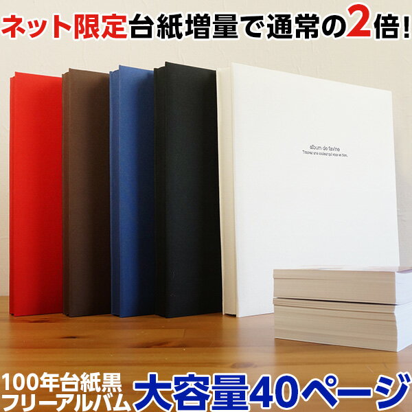 【WEB限定品】アルバム ナカバヤシ 布クロスフエルアルバム de favine ドゥファビネ お得な台紙増量版 Lサイズ IT-LD-191/20L アH-LD-191【貼り付け式 黒台紙 フォトアルバム 集合写真 おしゃれ 布表紙】 #101# ましかく スクエア