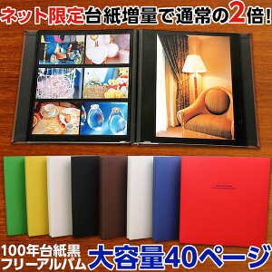 フエルアルバム 台紙増量版 大容量 ナカバヤシ de favine ドゥファビネ Lサイズ IT-LD-191/20L アH-LD-191【WEB限定品】【粘着 貼り付け 手作り 黒台紙 フォトアルバム 集合写真 おしゃれ エコー写真 ましかく スクエア 貼る フリー台紙タイプ】 #101#