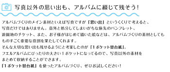 ナカバヤシネット限定商品/ワンポケット台紙フタ付き3枚入り/ポケットタイプ替台紙Lサイズフエルアルバムビス式対応/アP-LIT-3/写真収納フォトアルバム大容量替台紙ビス式#101#