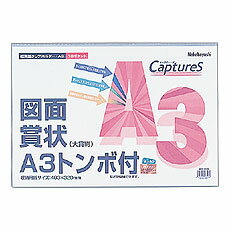 ナカバヤシ 超薄型ホルダー・キャプチャーズ A3 HUU-A3CB/SK