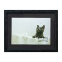 【最大1000円OFFクーポン配布中】ナカバヤシ 木製写真 壁掛け額 2L判(ブラック)F-SW-111-D 【写真 壁掛け フォトフレーム 額縁 集合写真 壁...