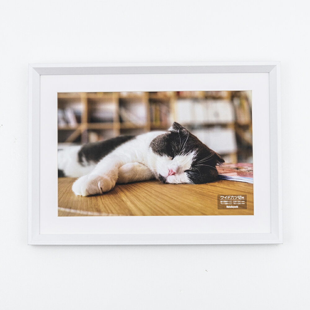 Wooden Frames - 【最大1000円OFFクーポン配布中】ナカバヤシ 木製写真額／W六ツ切／ホワイト F-SW-120-W 【CHI】