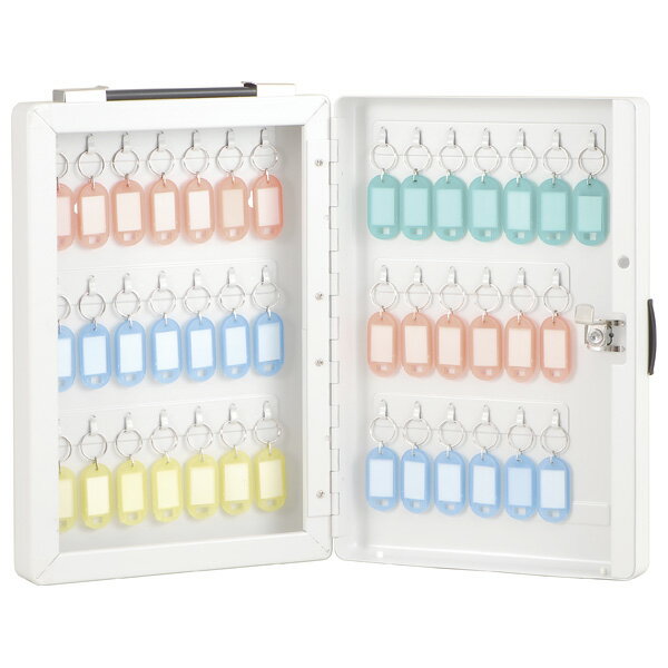 ナカバヤシ キーボックス カギ 鍵収納 40個収容 NKB-E04 収納ボックス【CHI】