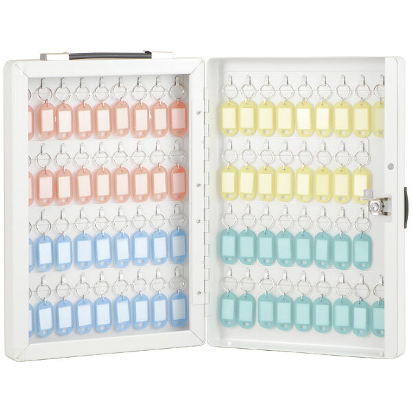 【最大1000円OFFクーポン配布中】ナカバヤシ キーボックス カギ 鍵収納 70個収容 NKB-E07 収納ボックス..