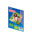 【5/1限定 最大1,000円OFFクーポン配布中】ナカバヤシ ラミネートフィルムE2タイプ 100μm・20枚 LPR-A6E2-SP/A A6【CHI】