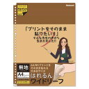 ナカバヤシ ロジカル・はれるんワイドリーフA4ワイド30穴・40枚／無地 LL-A404WKR