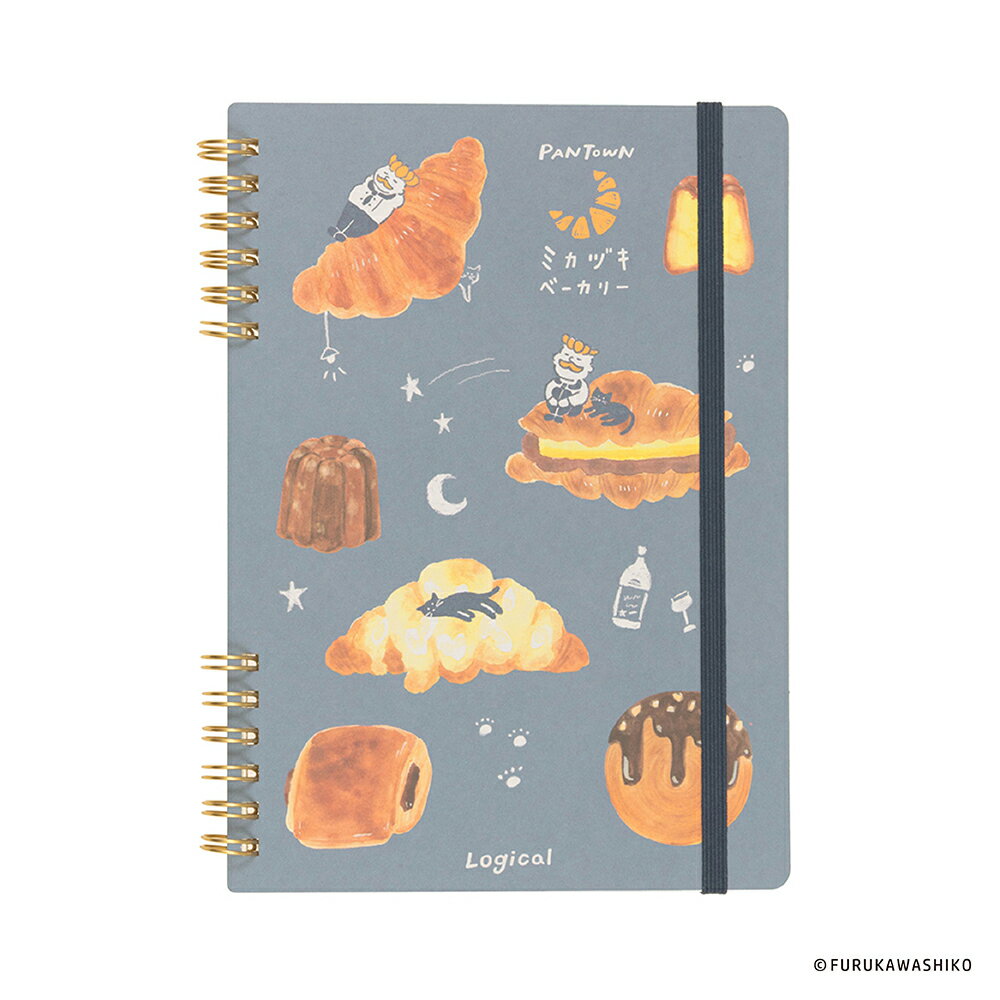 ナカバヤシ ロジカルノート 古川Wリングノート パンタウン B6 方眼 4ブルー NW-B609-4【CHI】【ポスト投函1】