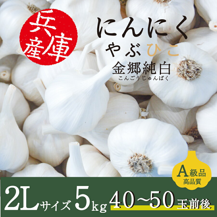 にんにく やぶひこ 金郷純白 2Lサイズ 5kg 2023年産 国産 兵庫県産 養父市 ナカバヤシ JGAP認証 大蒜 ニンニク 野菜 薬味 スタミナ 自宅用 家庭用 業務用 食品 食料 おすそ分け【メーカー直送】