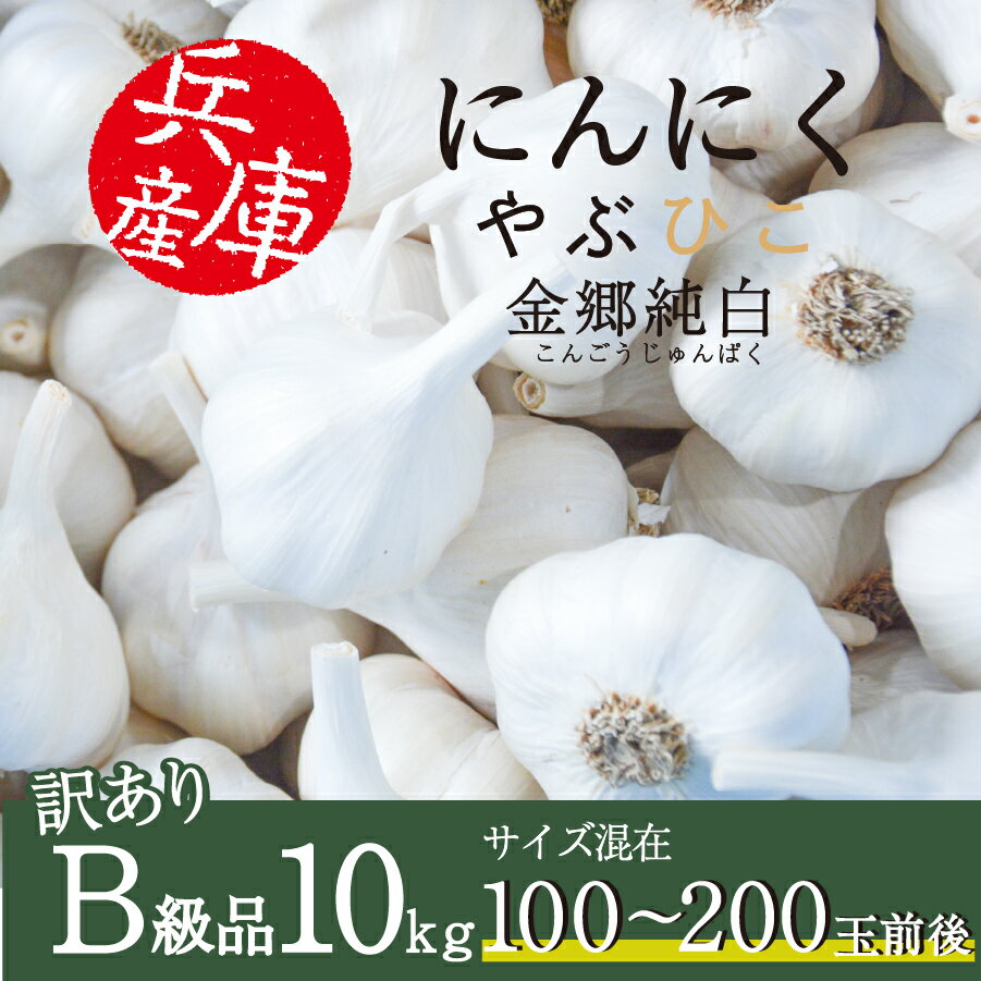 楽天フエルショップにんにく やぶひこ 金郷純白 10kg 2023年産 国産 兵庫県産 養父市 ナカバヤシ JGAP認証 大蒜 ニンニク 野菜 薬味 スタミナ 自宅用 家庭用 業務用 食品 食料 おすそ分け【訳あり】【B級品】【メーカー直送】