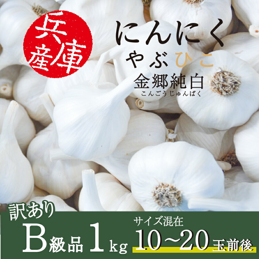 【最大1000円OFFクーポン配布中】にんにく やぶひこ 金郷純白 1kg 2023年産 国産 兵庫県産 養父市 ナカバヤシ JGAP認証 大蒜 ニンニク 野菜 薬味 スタミナ 自宅用 家庭用 業務用 食品 食料 お…