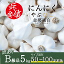 にんにく やぶひこ 金郷純白 5kg 2024年産 国産 兵庫県産 養父市 ナカバヤシ JGAP認証 大蒜 ニンニク 野菜 薬味 スタミナ 自宅用 家庭用 業務用 食品 食料 おすそ分け【訳あり】【B級品】【メーカー直送】