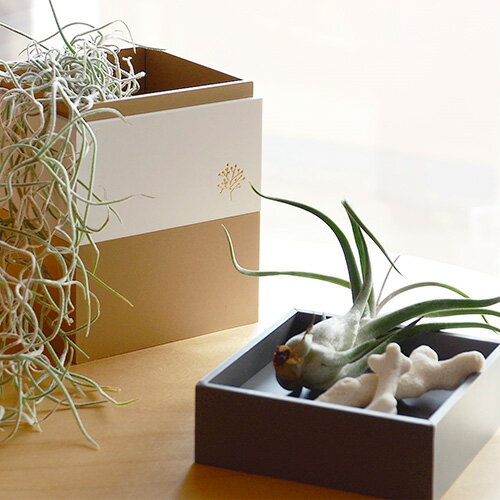 �ں���1000��OFF�����ݥ�������ۥʥ��Х䥷 �����Х� �ܥå��������� �١����� KBK-101-BE��CHI��