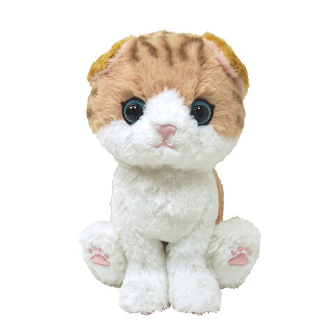 樂天商城 - 【最大1000円OFFクーポン配布中】サンレモン　キトン　ぬいぐるみ　スコティッシュフォールド　BR　　P-4222【CHI】