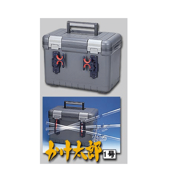  Ϻ1