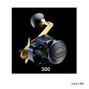 ≪'21年5月新商品!≫ ダイワ ソルティガ IC 300(右) 【小型商品】